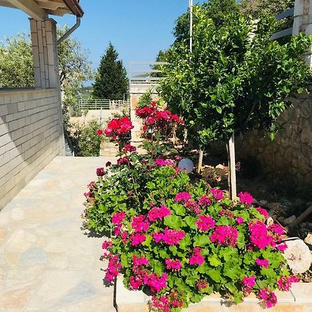 Vila Milo Vuno エクステリア 写真