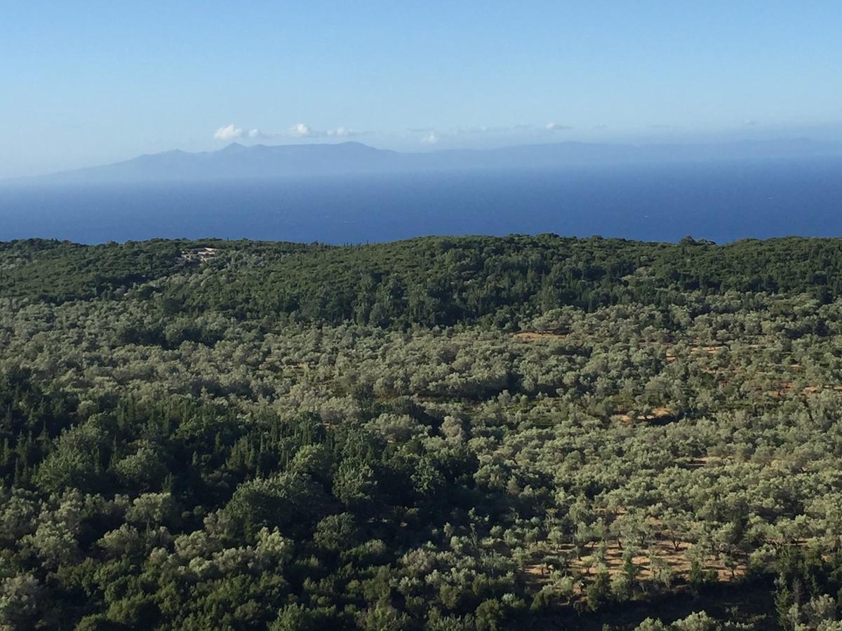 Vila Milo Vuno エクステリア 写真