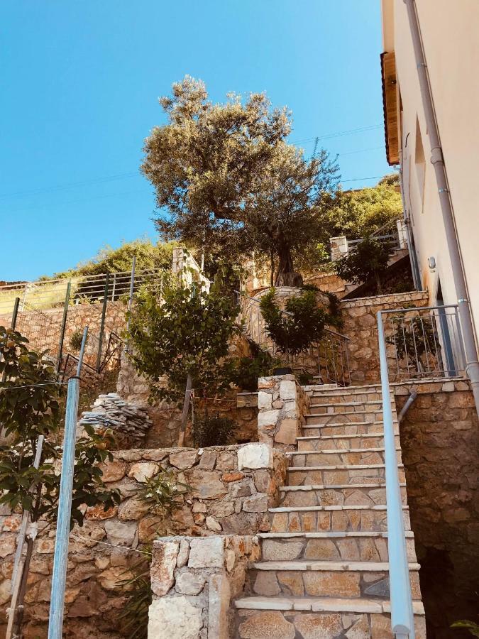 Vila Milo Vuno エクステリア 写真